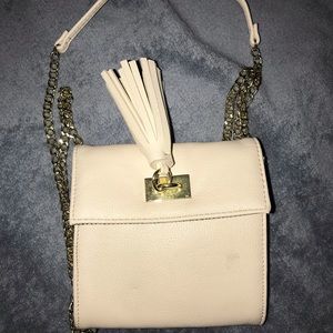 Steve Madden across Body Clutch Purse